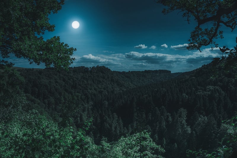 Exoplanet Image